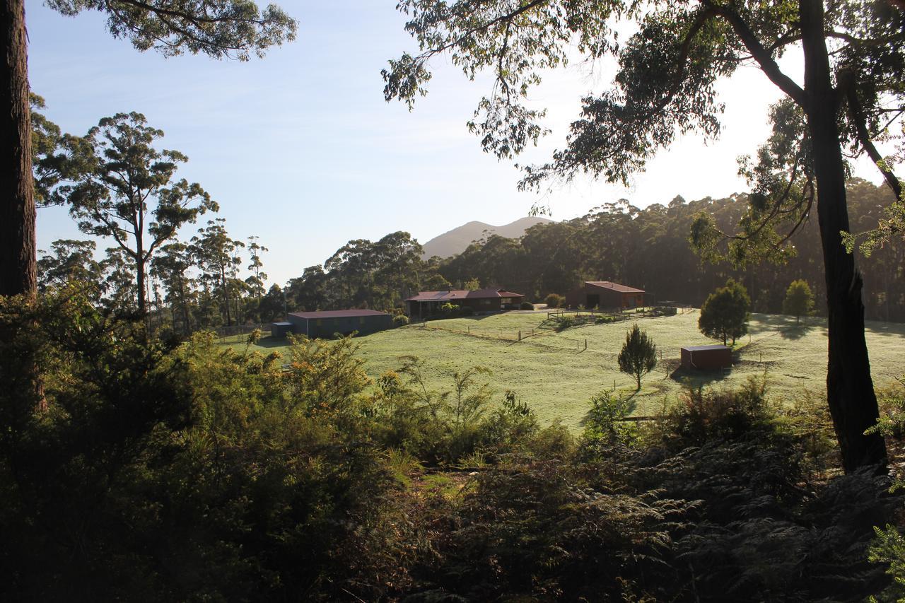 Eagle'S Roost Farmstay B&B Rocky Cape Eksteriør billede