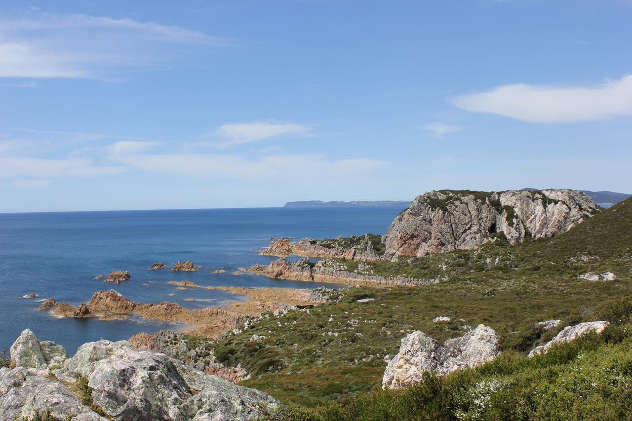 Eagle'S Roost Farmstay B&B Rocky Cape Eksteriør billede